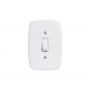 PLUZIE 1 INTERRUPTOR PARALELO C/ PLACA 3201