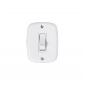 PLUZIE 1 INTERRUPTOR SIMPLES SOBREPOR (X) 9000